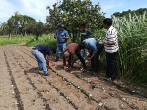 cerai-bolivia11